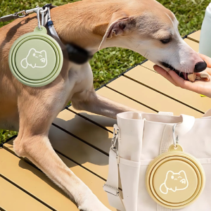 Portable Collapsible Dog Bowl for Travel - Lightweight & Foldable Design for Outdoor Adventures Dog outdoors eating a treat while wearing a leash with a green collapsible bowl; beige bowl clipped to a white bag nearby.