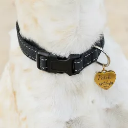 Heart Gold Dog Tag